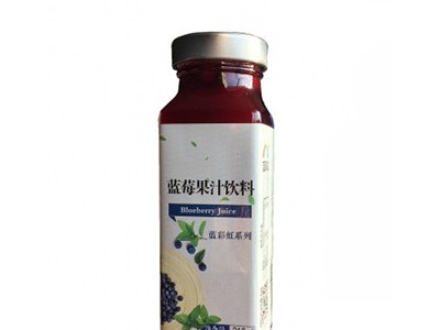 蓝莓果汁 310ml