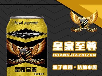 8度易拉罐啤酒招商