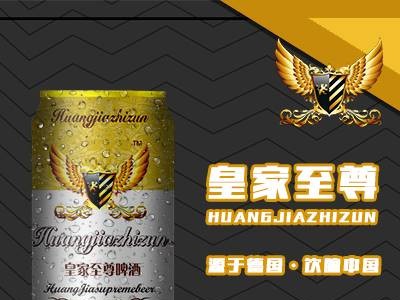 8度易拉罐啤酒招商