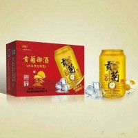 贡菊啤酒罐装