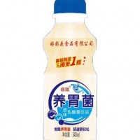 启致有奖养胃菌原味乳酸菌饮品