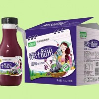 果汁时光蓝莓汁饮料