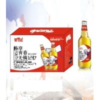 青春记忆红瓶啤酒500mlx12