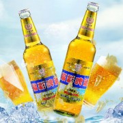 山东福彩润啤酒有限公司