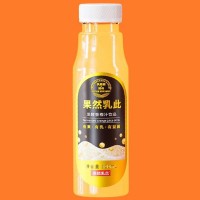 果汁饮料发酵香橙汁饮品320ml